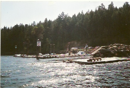 1997 Friends of Coho cove